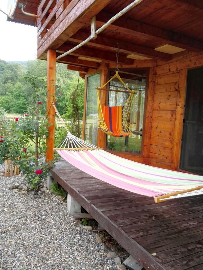 The Wooden House Villa Moldoveneşti Dış mekan fotoğraf